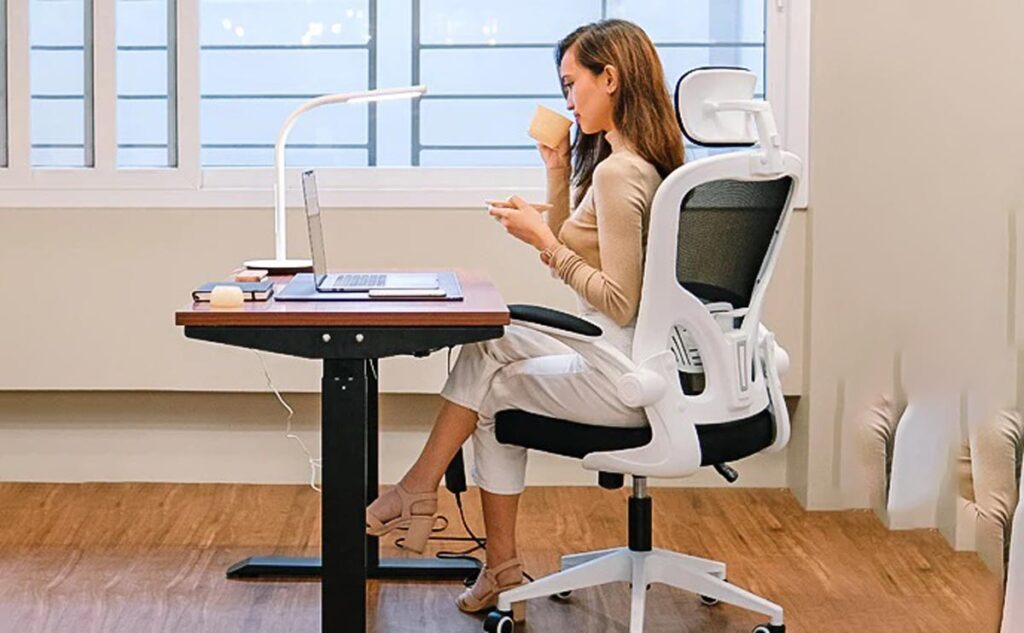 Classic ergonomic chair rede craft