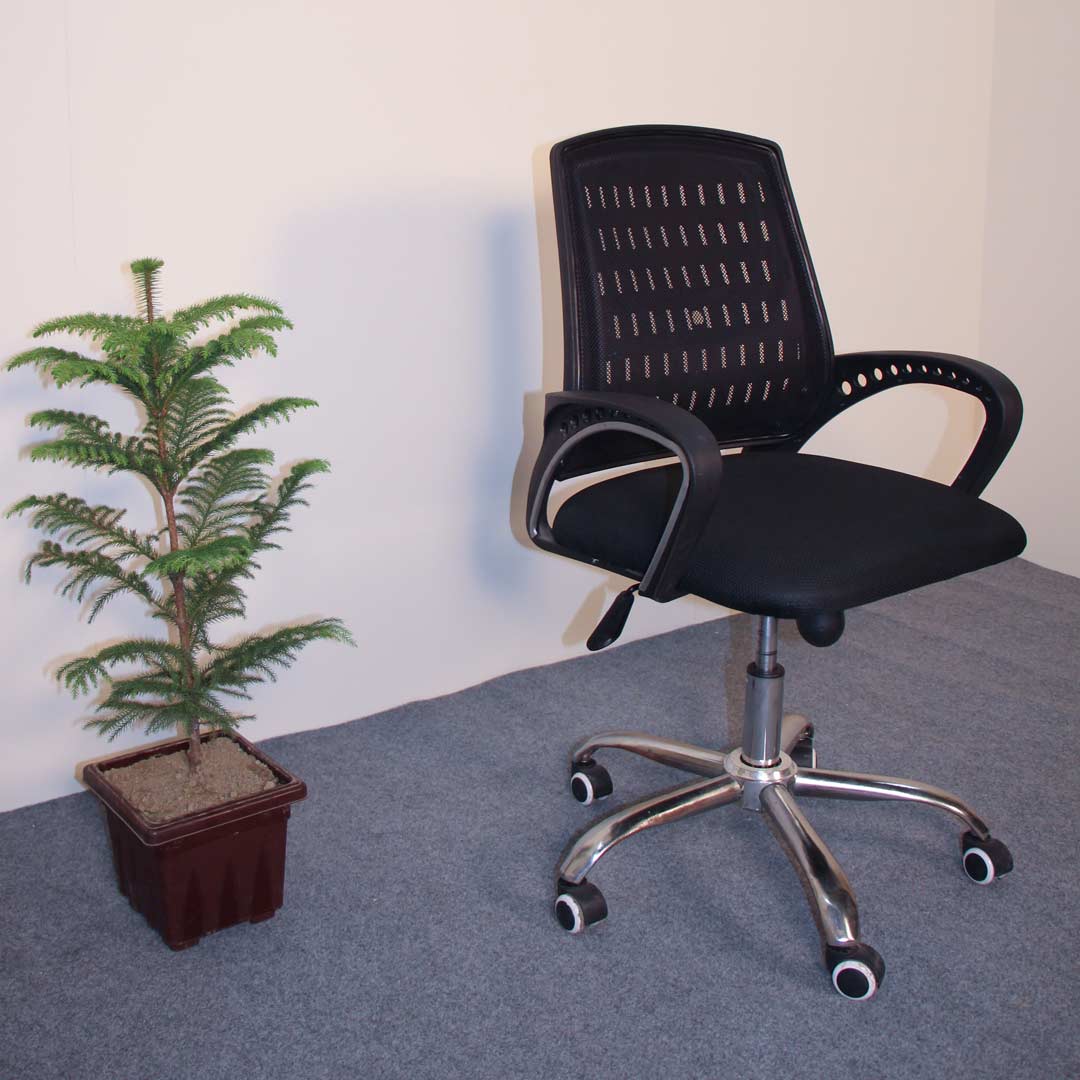 Back painless executive chair ()