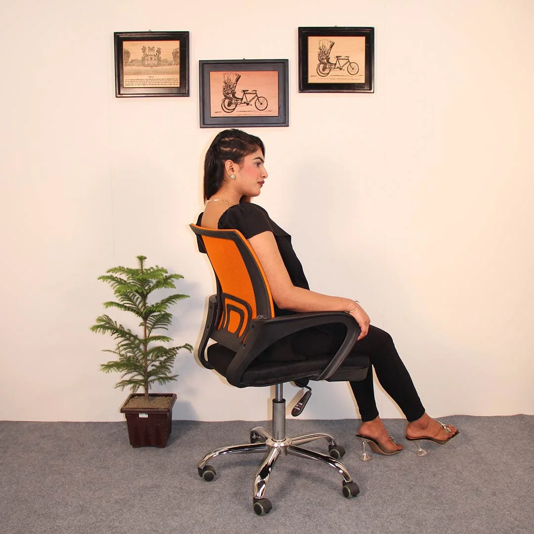 Executive Office Swivel Chair ()