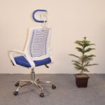 Executive Office Swivel Chair With White Body Blue Mesh