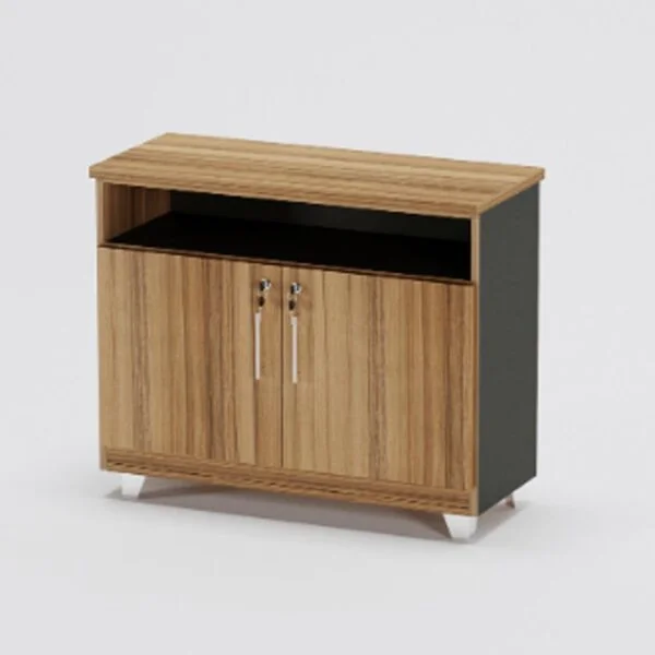 Side rack having having great storage for files